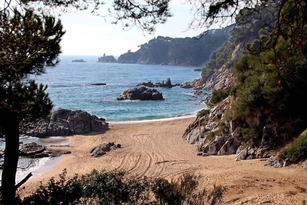 Appartement Acogedor A 200m Del Mar